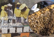 Srednjoškolci iz Belgije na stručnoj praksi u Hrvatskoj