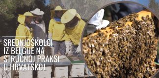 Srednjoškolci iz Belgije na stručnoj praksi u Hrvatskoj