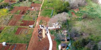 Besplatne društveno uključive vrtlarske radionice u pulskom Društvenom vrtu