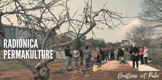 Izrada gredice bez kopanja u pulskom Društvenom vrtu