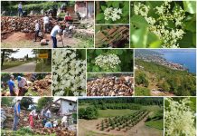 Poljoprivredna emisija Boje zemlje 28.5.2023.