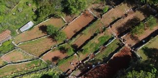 Radionica suhozidne gradnje u Etnološkom parku Anton Plašimuha