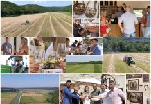 Poljoprivredna emisija Boje zemlje 4.6.2023.