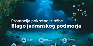 Pokretna izložba: Blago jadranskog podmorja