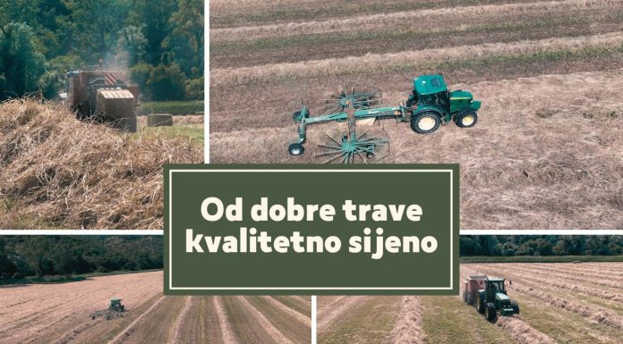 Od dobre trave kvalitetno sijeno