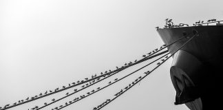 Izložba projekta Prijatelji mora: Ljudi i brodovi na pulskom Forumu od 12.-19.05.2023.