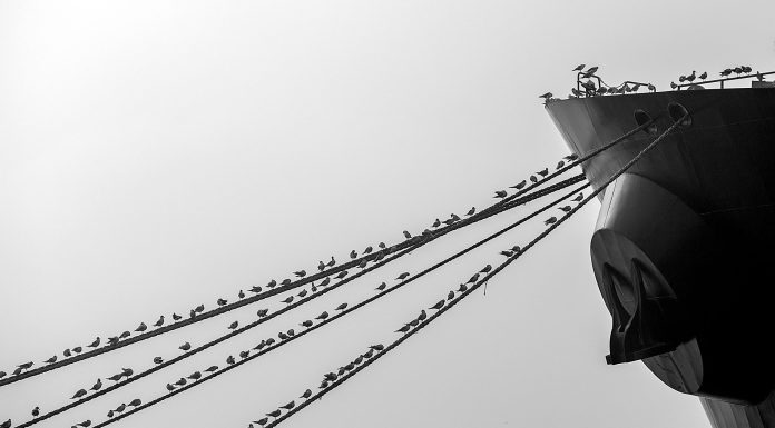 Izložba projekta Prijatelji mora: Ljudi i brodovi na pulskom Forumu od 12.-19.05.2023.