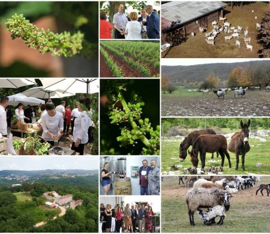 Poljoprivredna emisija Boje zemlje 11.6.2023.