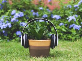 Akcija Sound Re-Garden: izrada vertikalnog vrta koji stvara glazbu