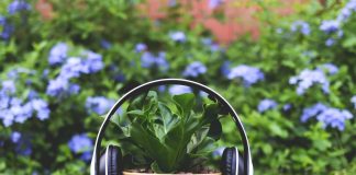 Akcija Sound Re-Garden: izrada vertikalnog vrta koji stvara glazbu