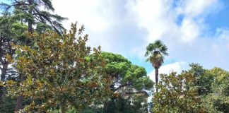 Mornarički park obiluje raznim biljnim vrstama