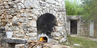 Posljednja istarska japlenica