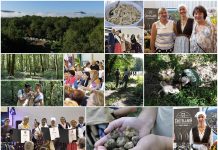 Poljoprivredna emisija Boje zemlje 22.10.2023.