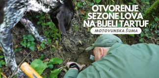 Otvorenje sezone lova na bijeli tartuf