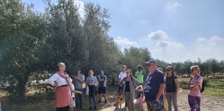 Ovaj vikend bogat program u vodnjanskoj Kući tradicija, Ekomuzeju Istrian de Dignan