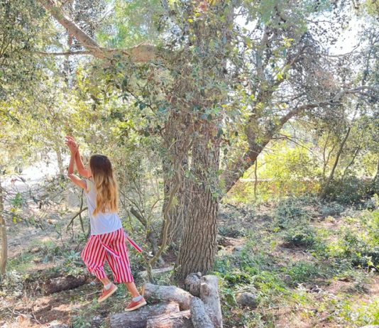 „Šumska soba“ djeci nudi mnoštvo avantura na području Kamenjaka