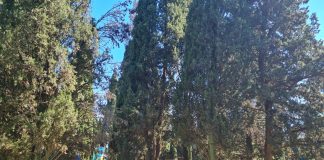 Mornaričko groblje u Puli postalo dio Europske rute značajnih groblja