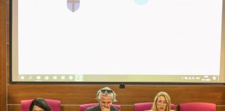 Održano javno izlaganje strateške podloge – Strategije zelene urbane obnove Grada Pula – Pola do 2030. godine