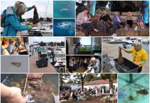 Boje zemlje emisija o moru 26.11.2023.