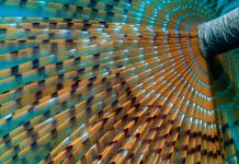 Kožasti perjaničar