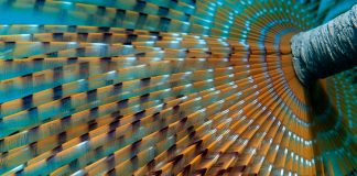 Kožasti perjaničar