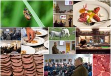 Poljoprivredna emisija Boje zemlje 14.01.2023.