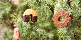 Smrikva umjesto bora: Tradicija božićnog kićenja u Istri