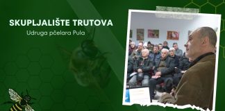 Dok pčele miruju, pčelari se educiraju: Skupljalište trutova i oplodnja matice