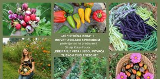 BESPLATNA EDUKACIJA: Kreiranje vrta i uzgoj povrća tijekom cijele sezone