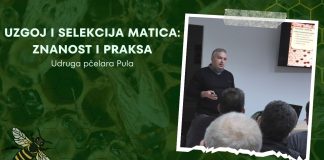 Uzgoj i selekcija matica: Znanost i praksa