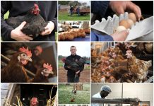 Poljoprivredna emisija Boje zemlje 31.3.2024.