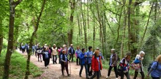 Zeleni vikendi južne Istre