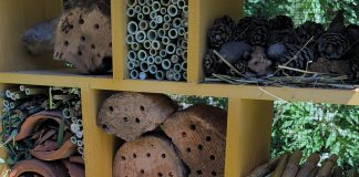 U Rovinju-Rovigno postavljene kućice za kukce