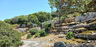 Brijunske kamene priče: Većina građevina u Veneciji napravljena je od brijunskog kamena