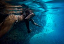 Rebraši preplavili istarske plaže – nemoguće ih je iskorijeniti