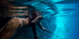 Rebraši preplavili istarske plaže – nemoguće ih je iskorijeniti