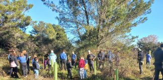 Drenovica dobiva 300 novih hrastova