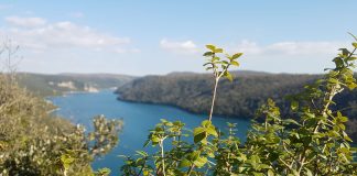 Limski zaljev – prirodni fenomen