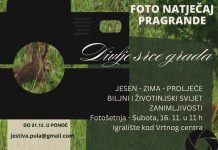FOTONATJEČAJ: Pragrande – divlje srce grada u jesen, zimu i proljeće