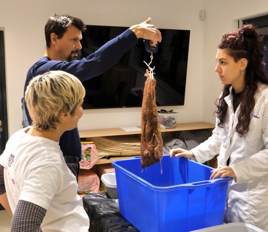 Borba za očuvanje plemenite periske