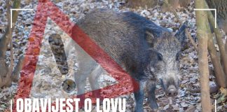 VODNJAN: Obavijest o lovu