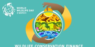 Svjetski dan divljih vrsta – ulaganje u ljude i planet