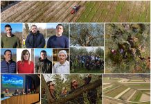 Poljoprivredna emisija Boje zemlje 16.3.2025.