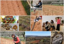 Poljoprivredna emisija Boje zemlje 23.3.2025.