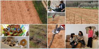 Poljoprivredna emisija Boje zemlje 23.3.2025.