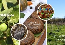 Smokva – od tradicije do suvremenih nasada