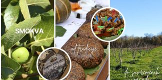 Smokva – od tradicije do suvremenih nasada