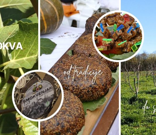 Smokva – od tradicije do suvremenih nasada