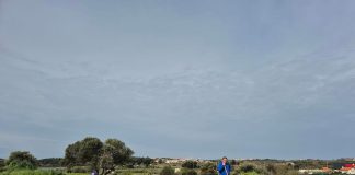 Povodom svjetskog dana šuma posađeno deset sadnica hrasta u Pomeru