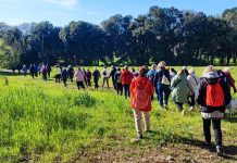 Mještani Medulina šetnjom obilježili Svjetski dan zdravlja